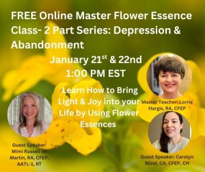 Master Flower Essence Class for Depression & Abandonment